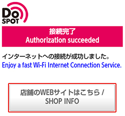 インターネットへの接続が成功しました。